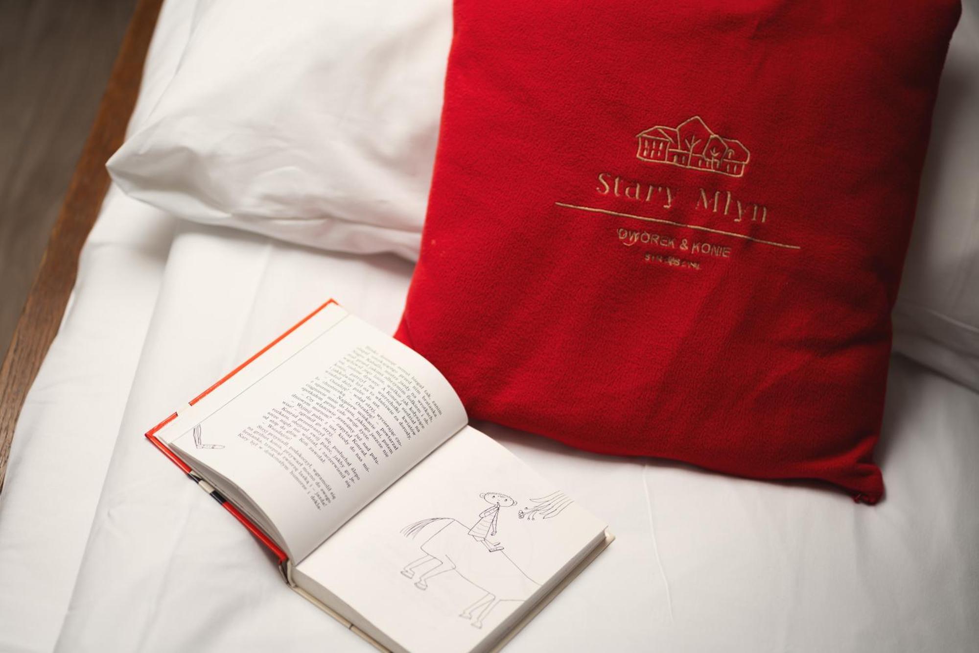 Stary Mlyn Strzeszyn Hotel Łubowo Kültér fotó