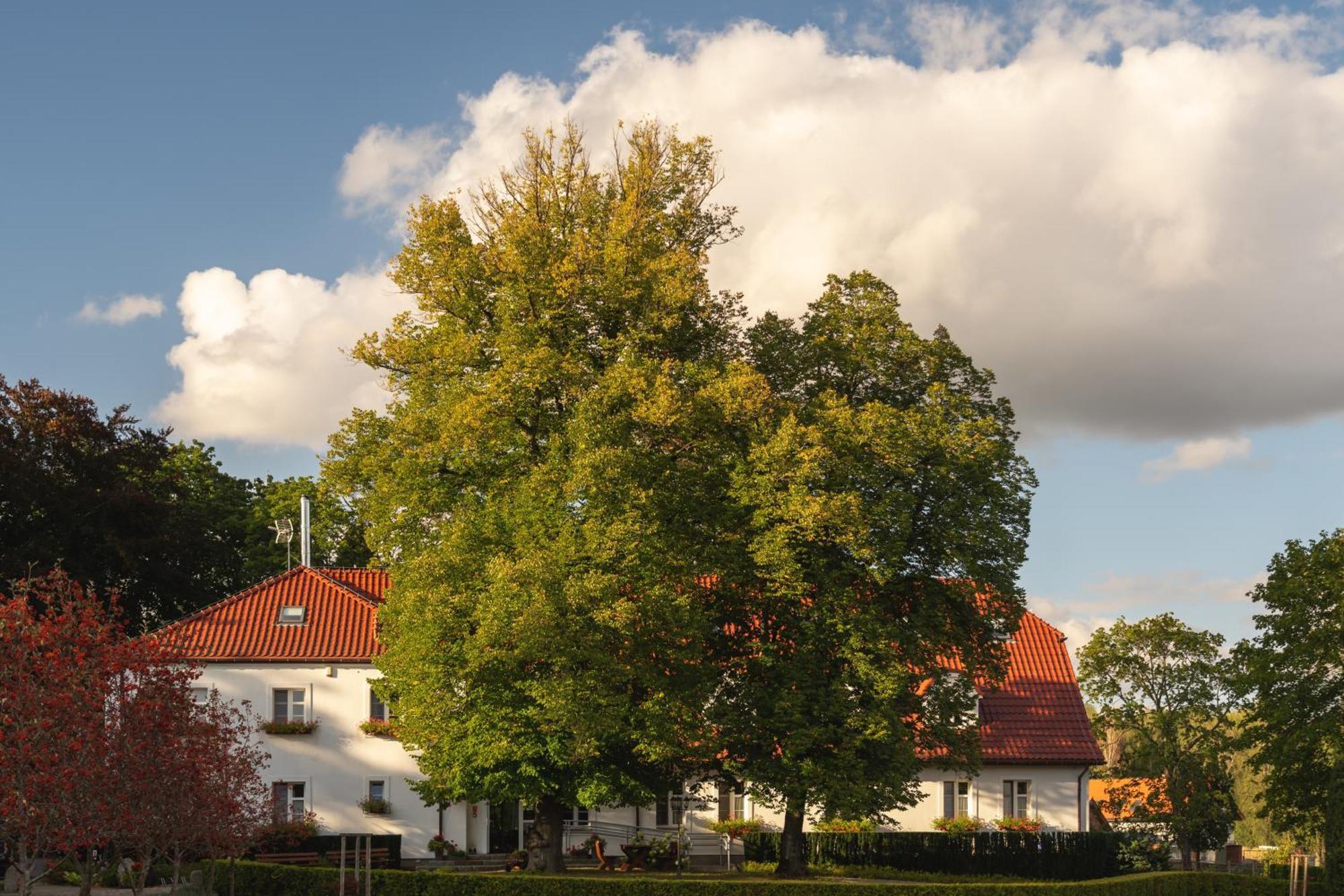 Stary Mlyn Strzeszyn Hotel Łubowo Kültér fotó